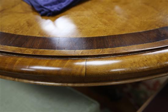 An early Victorian birds eye maple and rosewood crossbanded circular tilt top table, W.4ft 1in.